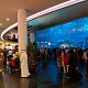 Алексей Жданов. Аквариум в DUBAI MALL